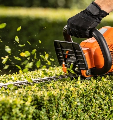 L’expérience qui fait grandir vos extérieurs