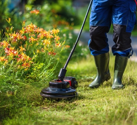 Des prestations d'entretien adaptées à chaque jardin